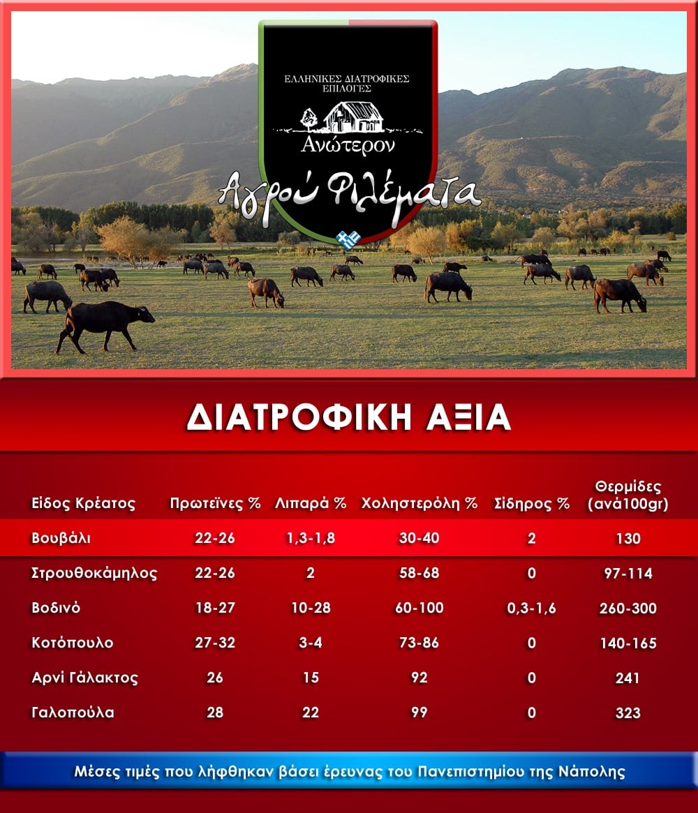 Μοσχάρι Θεσσαλίας Bio Νωπό - Αγρού Φιλέματα - Image 3